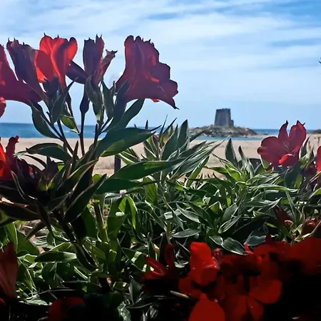 아파트 Appartamento Girasole 지라솔레