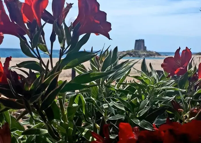 アパート Appartamento Girasole ジラソーレ